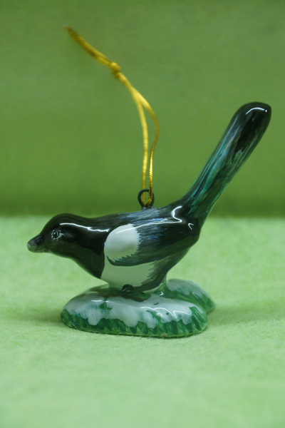 Сорока - Птицы России