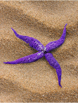 Подвеска "Морской Цветок" с хрустальной бусиной