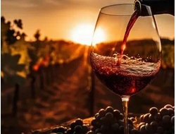 Консультация . Снятие алкогольной интоксикации и зависимости с помощью комплексной системы Виватон и Виианомика