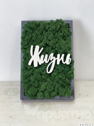 ЖИВАЯ ЭКО-КАРТИНА 1054