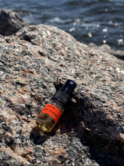 Духи НОТА: ДИКОЕ ПЛЕМЯ 2,5 мл