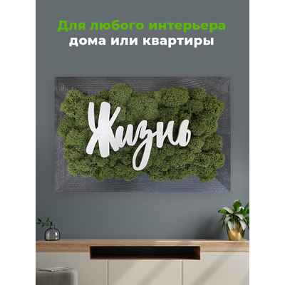 ЖИВАЯ ЭКО-КАРТИНА 1049