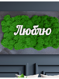 ЖИВАЯ ЭКО-КАРТИНА 1048