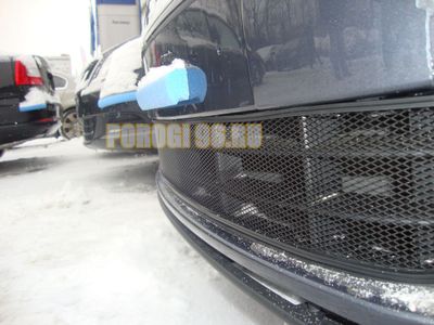 Защита радиатора Skoda Fabia 2 рестайлинг 2011-/Skoda Roomster 2011-2015 black