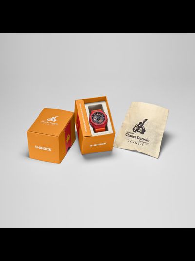 Часы Casio G-Shock GA-B2100DF-4A