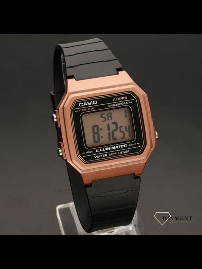 Часы Casio W-217HM-5A