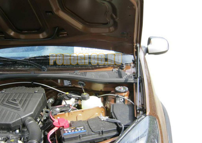 Амортизаторы капота, 2 шт. АвтоУпор для Renault Sandero StepWay I 2010-2014