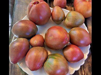 Томат Черное сердце Америки