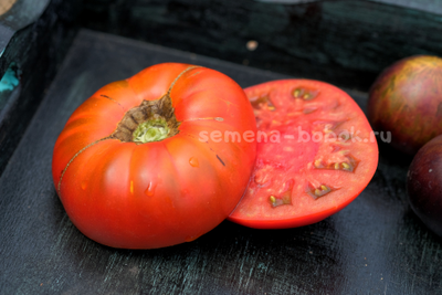 Томат Cowboy (Ковбой), 10 шт