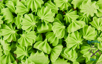 Сахарные фигурки Мини-безе (зеленые), 50 гр