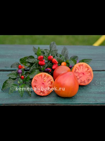 Томат Brad&#039;s Black Heart (Черное сердце Брэда), 10 шт