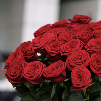 Букет "Красивый комплимент" из 25 голландских роз