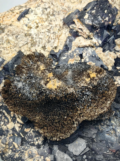 Флюорит и радиально-лучистый гетит на породе. Украина.