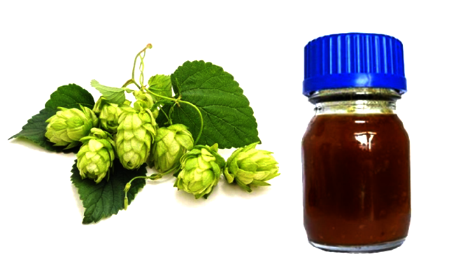Хмелевой экстракт из шишек
