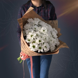 Классический букет из 7 белых кустовых хризантем Баккарди