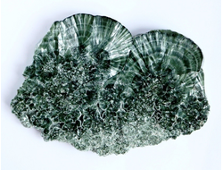 Клинохлор (серафинит)