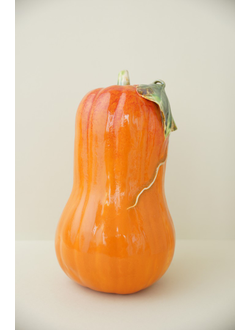 Тыква вытянутая