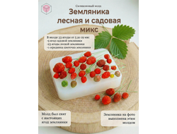 Молд "Земляника лесная и садовая микс  "