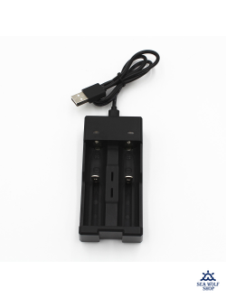 Зарядное устройство Li-Ion Charger USB 2