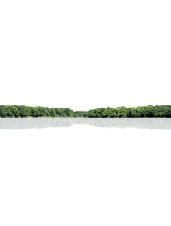 горизонт Деревья на горизонте ALT019-04-D