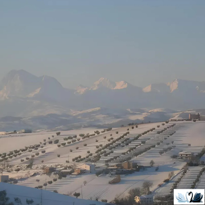 Плитка Belani Torano декор бежевый 30х60 см, настенная, под мрамор, глянец, рельеф, Береза керамика