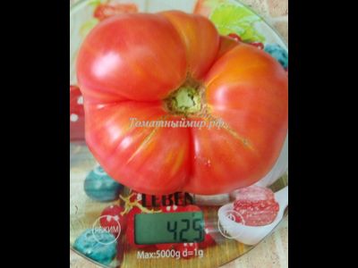 Томат Ник Харп Особенный (Nick Harp's Special, Германия)