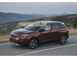 Пороги на Peugeot 3008 (2017-…) Black Start