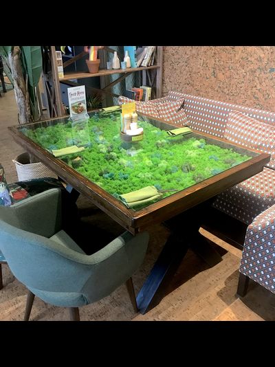 стол витрина из стабилизированного  мха