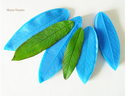 "Лист ивы" Силиконовый молд  (вайнер)