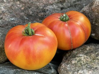 Пронесшаяся полоса