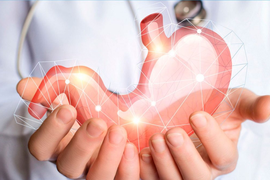 Консультация гастроэнтеролога