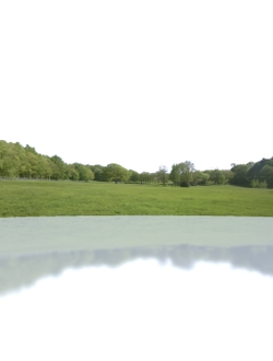 горизонт Деревья на горизонте 8