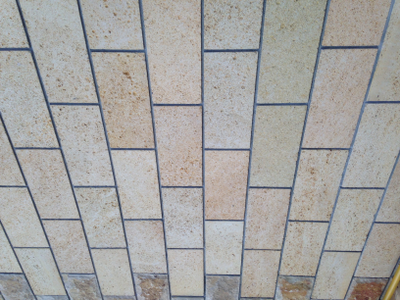 Ракушечник