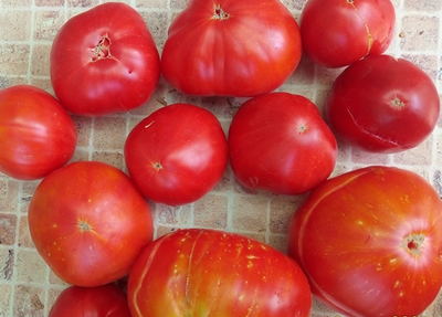 Томат Джильдо Пиетробони (Gildo Pietroboni)