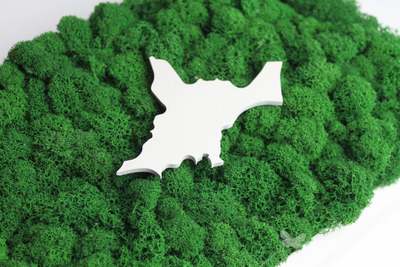 ЖИВАЯ ЭКО-КАРТИНА 1032