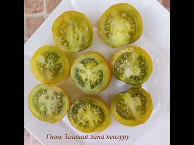 Томат Гном Лапа кенгуру зеленый (Dwarf Kangaroo Paw Green)