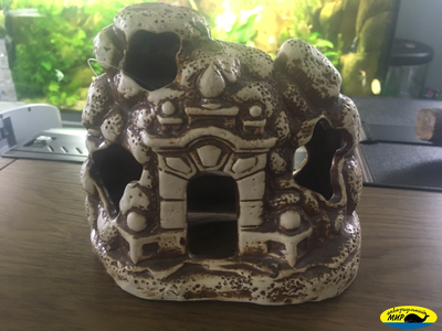 98133В Парадное