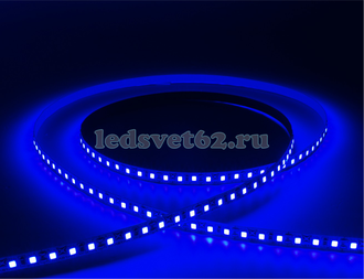 Светодиодная лента 12v-120led-9.6w-IP20 blue SMD2835, SeaStar