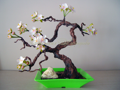 Бонсай Сакура