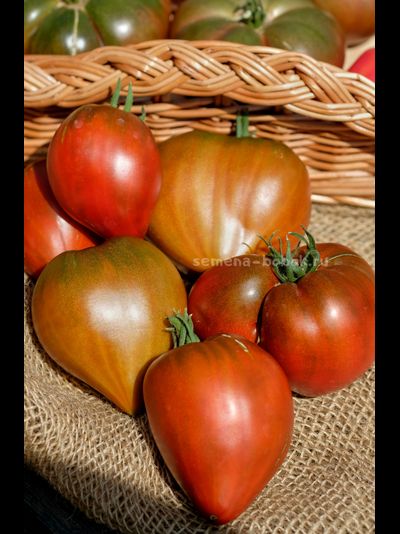 Томат Сердце Линнея (Linnaeus Heart), 10 шт