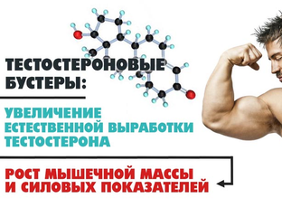 Памятка тестостерон топ