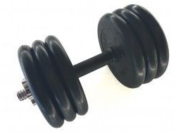 Гантель разборная 32,5 кг TITAN Barbell