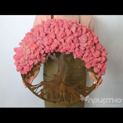 ЖИВАЯ ЭКО-КАРТИНА 1020