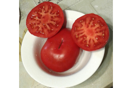 сорт Мехико