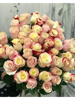 51 нежно-розовая роза голландия 70см