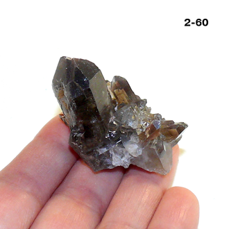 Раухтопаз натуральный (микро-друза) Казахстан №2-60: 23,5г - 39*24*29мм