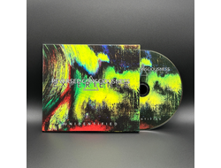 REVERSED CONSCIOUSNESS EXPERIENCE - Unidentified (2025) CD