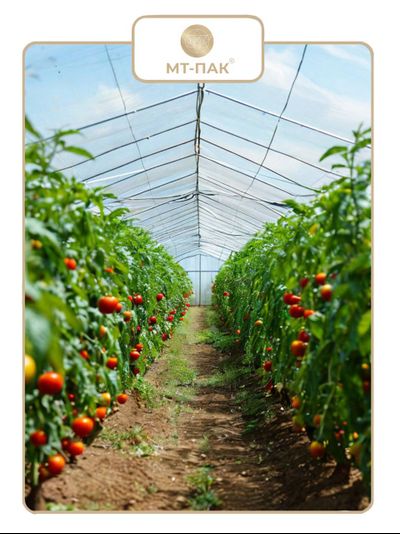 Пленка для парника и теплицы 4 м × 100 м 150 мкм 34 кг МТ-ПАК