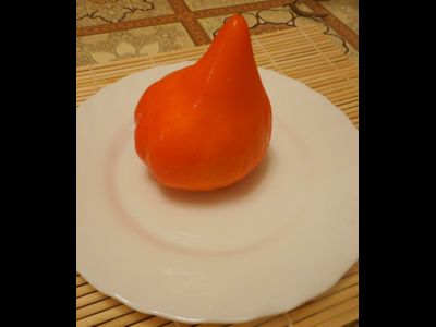 Томат Оранжевое сердце (Лискин нос)