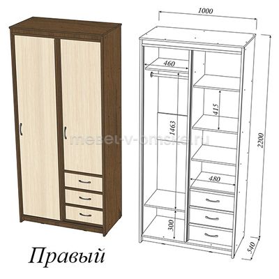 Шкаф-купе Карина 1,0